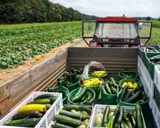Miejska Farma Wrocławia